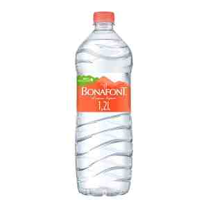 Agua Natural Bonafont 1.2L