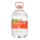 Agua Natural Bonafont 6L